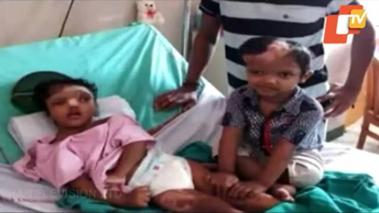 ଆଜି ଦିଲ୍ଲୀରୁ ବାହାରିବେ ଜଗା, କାଳିଆ