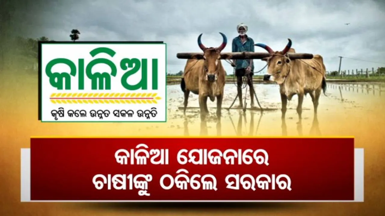 କାଳିଆ ଯୋଜନାରେ ଚାଷୀଙ୍କୁ ଠକିଲେ ସରକାର