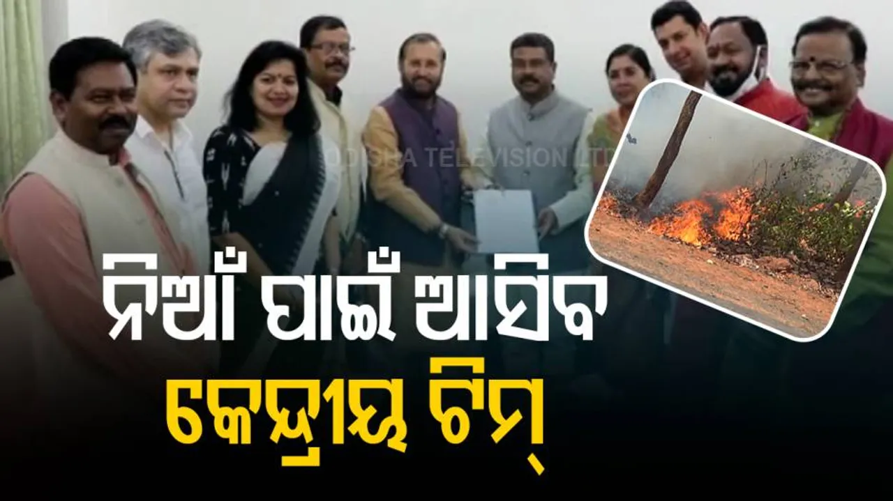 ଜଙ୍ଗଲ ନିଆଁର ସ୍ଥିତି ଅନୁଧ୍ୟାନ କରିବ କେନ୍ଦ୍ରୀୟ ଟିମ