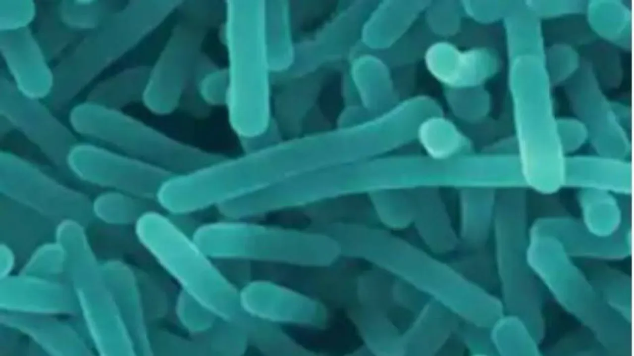 ଆଜି ରାଜ୍ୟରେ କରୋନା ମୃତ୍ୟୁ ଶୂନ