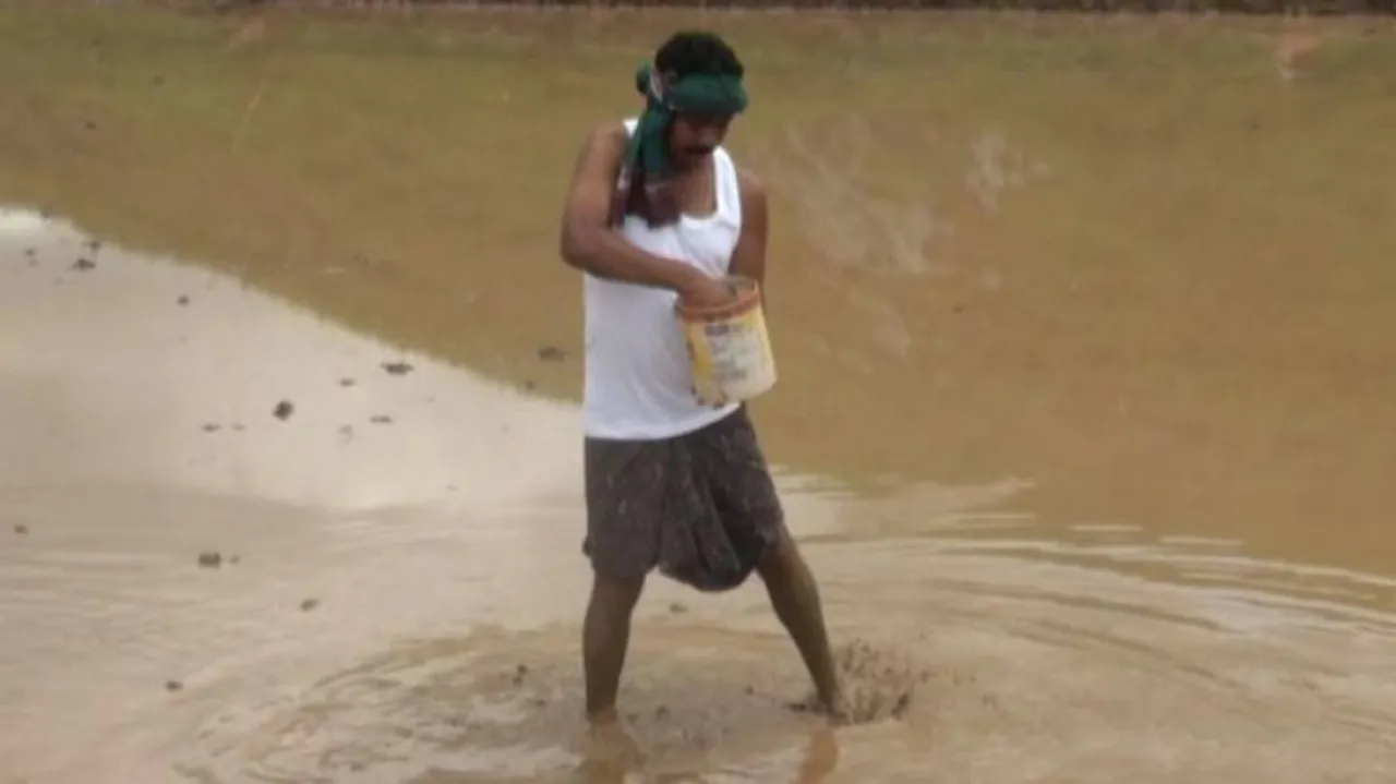 ଲକ୍‌ଡାଉନ୍‌ ସମୟରେ ଚାଷୀ ସାଜିଲେ ବିଧାୟକ