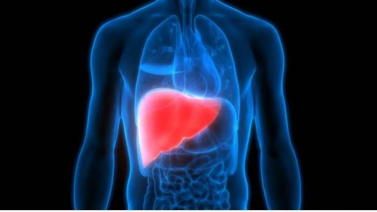 ଲିଭର୍‌ରେ ଅପରିଷ୍କାର ଜମିଲେ ଦେଖାଦେବ ଏଇସବୁ ଲକ୍ଷଣ