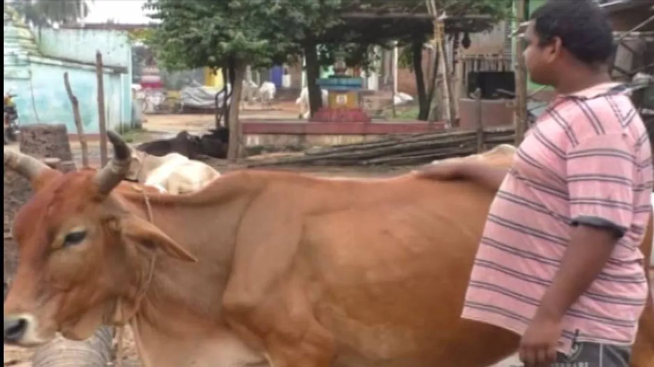 ଦୁଗ୍ଧ ଚାଷୀଙ୍କ ପାଇଁ ସହାୟତା ଘୋଷଣା କଲେ ମୁଖ୍ୟମନ୍ତ୍ରୀ