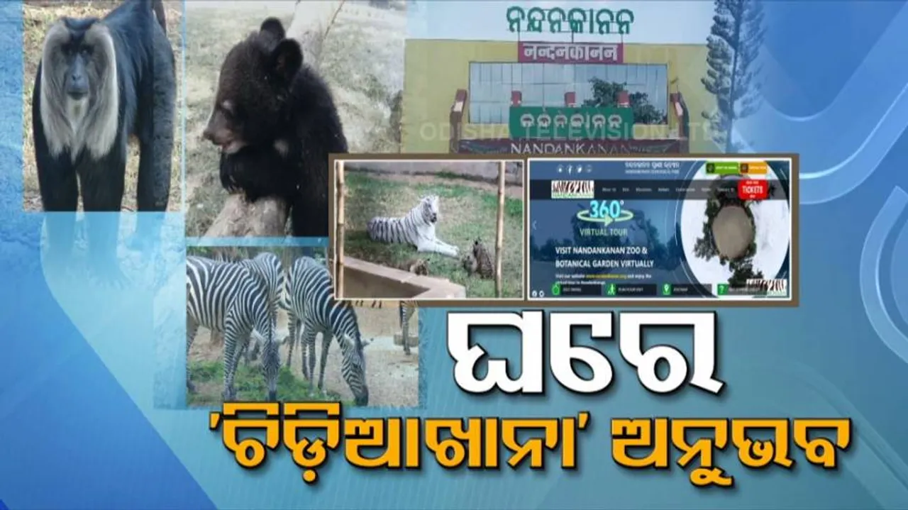 ଭର୍ଚୁଆଲ୍ ପ୍ଲାଟ୍‌ଫର୍ମରେ ନନ୍ଦନକାନନ ! ଘରେ ବସି ଚିଡିଆଖାନାର ମଜା ନେଉଛନ୍ତି ଦର୍ଶକ