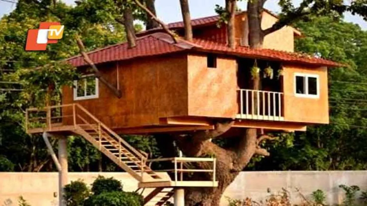 ନରଣପୁରରେ ଠିଆ ହୋଇଛି ଗଛ ଉପରେ ଘର