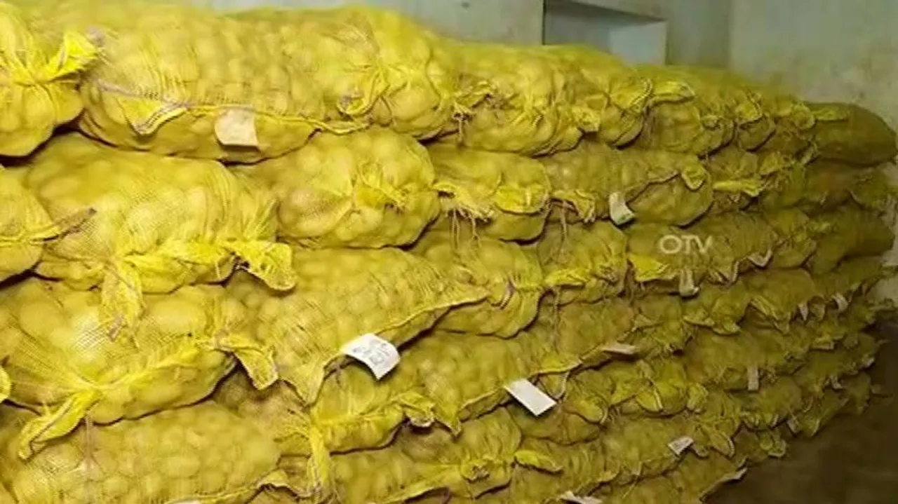 ଇଜିପ୍ଟରୁ ପିଆଜ ଆସିବା ପରେ ଦର କମିବା ଆଶା