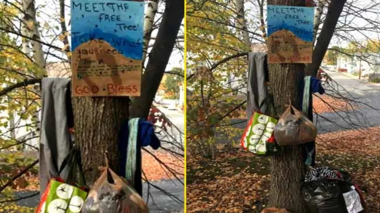 ଫ୍ରି ଟ୍ରି: ଯେଉଁଠି ଗରିବଙ୍କ ପାଇଁ ଲୋକମାନେ ଛାଡିଯାଆନ୍ତି ଦରକାରୀ ଜିନିଷ