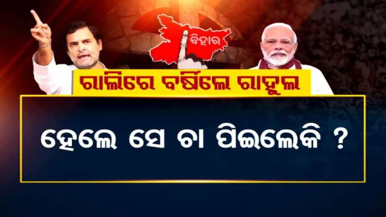 ବିହାର ଇଲେକ୍ସନ ପ୍ରଚାର; କାହାକୁ ଜଙ୍ଗଲ୍ ରାଜ୍‌ର ଯୁବରାଜ କହିଲେ ମୋଦି ?