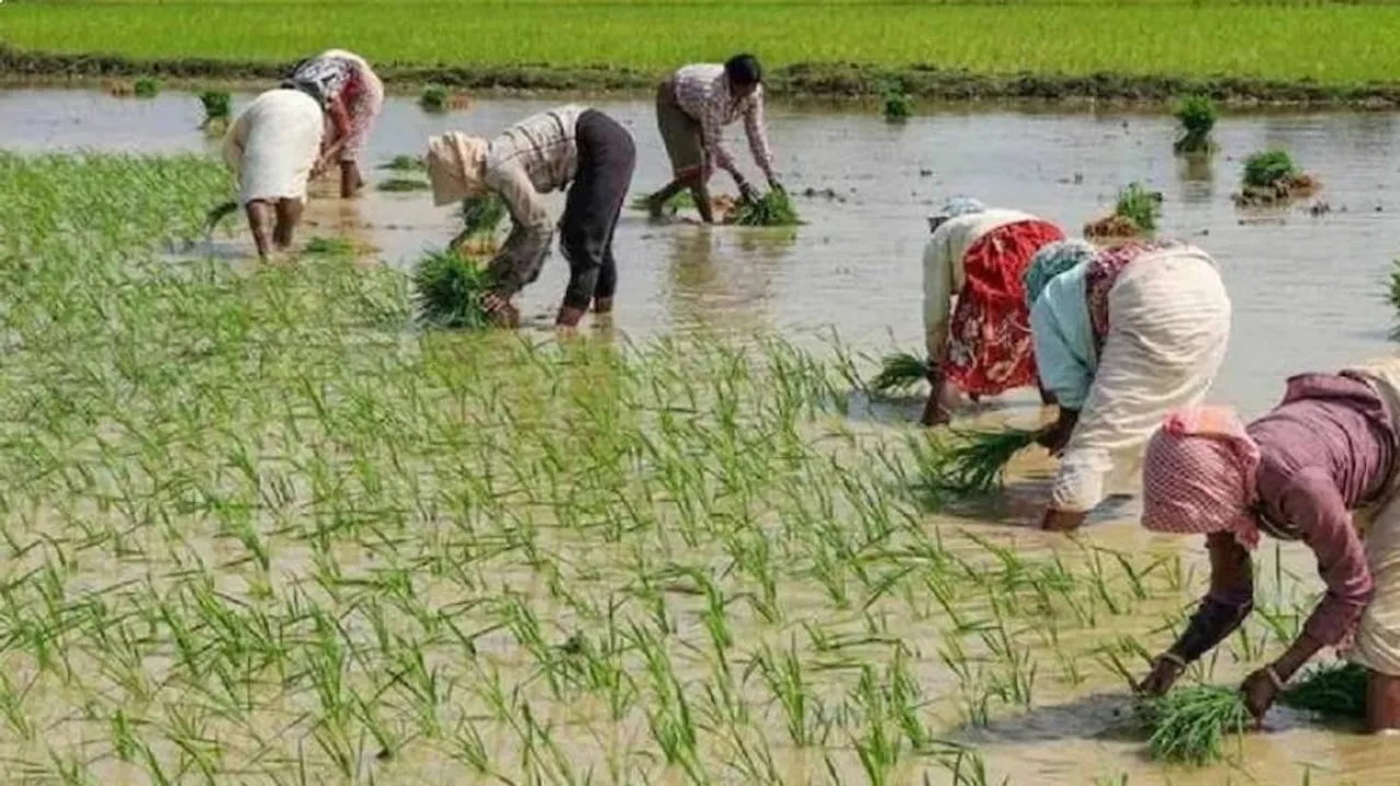 ପଞ୍ଜାବ ମୁଖ୍ୟମନ୍ତ୍ରୀଙ୍କ ବଡ଼ ଘୋଷଣା : ୨.୮୫ ଲକ୍ଷ କୃଷି ଶ୍ରମିକ ଓ ଭୂମିହୀନ ଚାଷୀଙ୍କ ଋଣ ଛାଡ କରିବେ ସରକାର