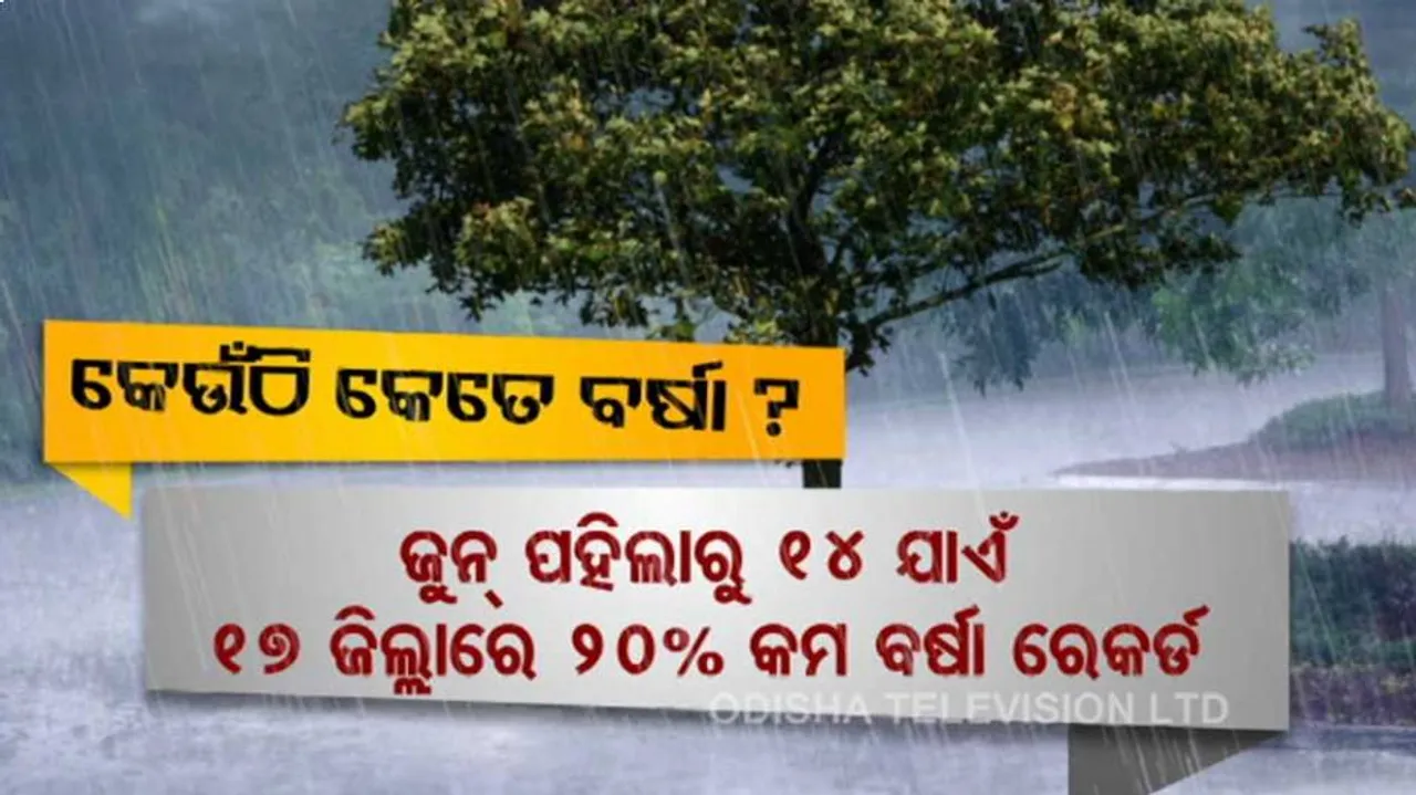 ରାଜ୍ୟରେ ନିଅଣ୍ଟିଆ ବର୍ଷା : କେଉଁଠି ଜମି ଫାଟି ଆଁ କଲାଣି ତ ଆଉ କେଉଁଠି ତଳି ପକାଇ ପାରୁନି ଚାଷୀ