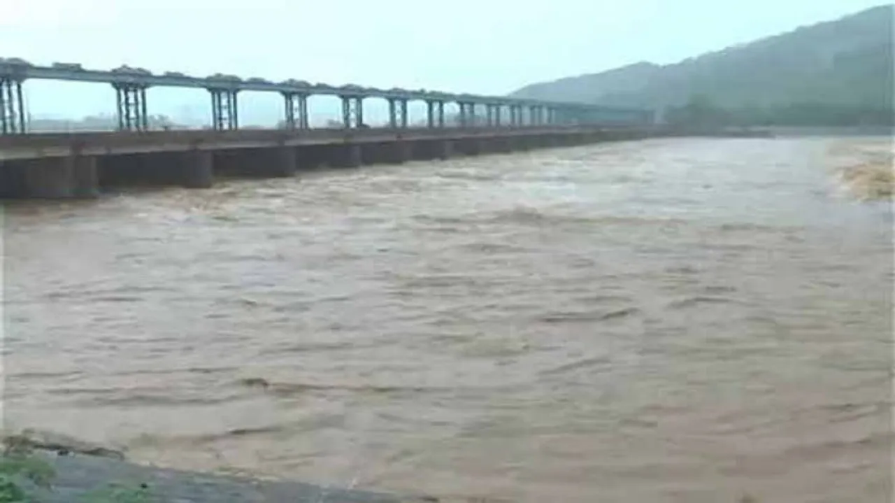 ବଂଶଧାରା ମାମଲା: ଟ୍ରିବ୍ୟୁନାଲ୍‌ରେ ଆଜି ହେବ ଶୁଣାଣି