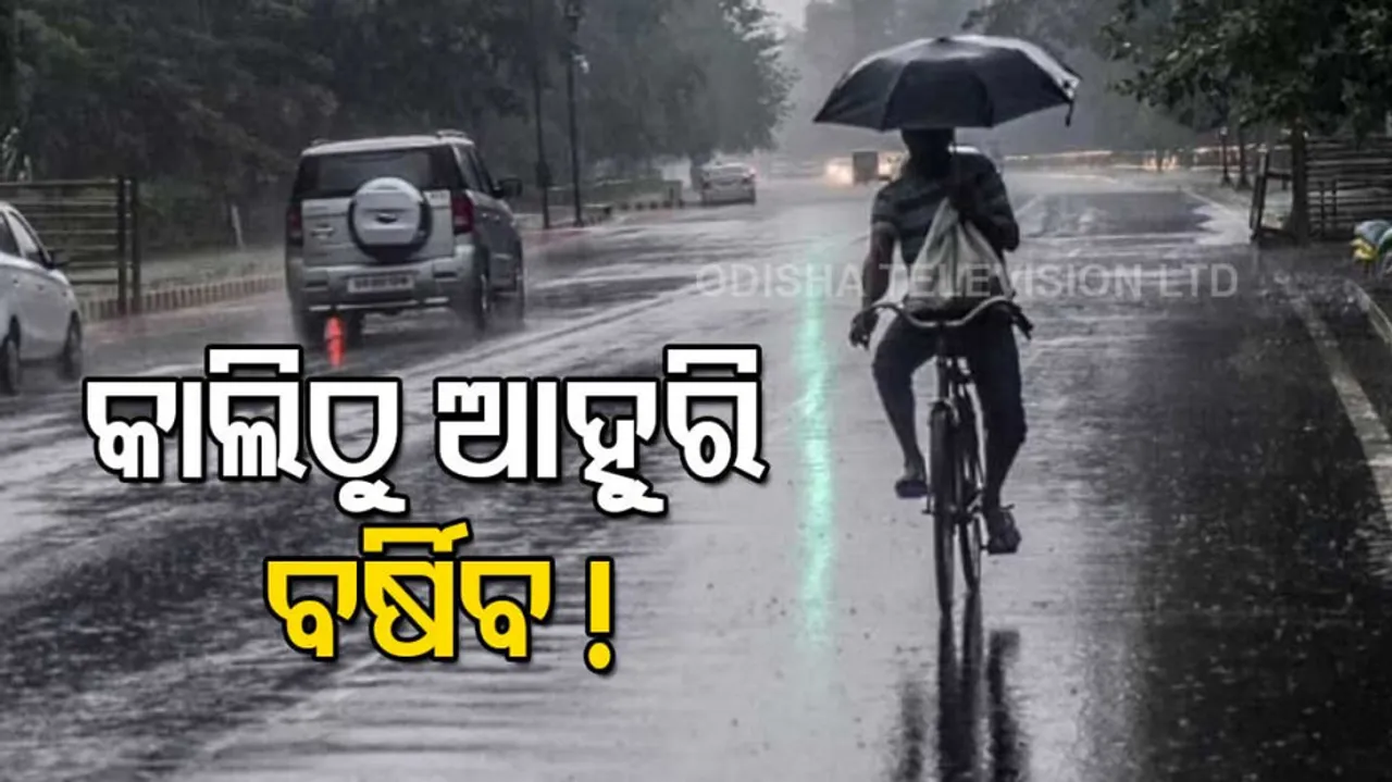 Odisha Likely To Experience Rain For Next 3 Days