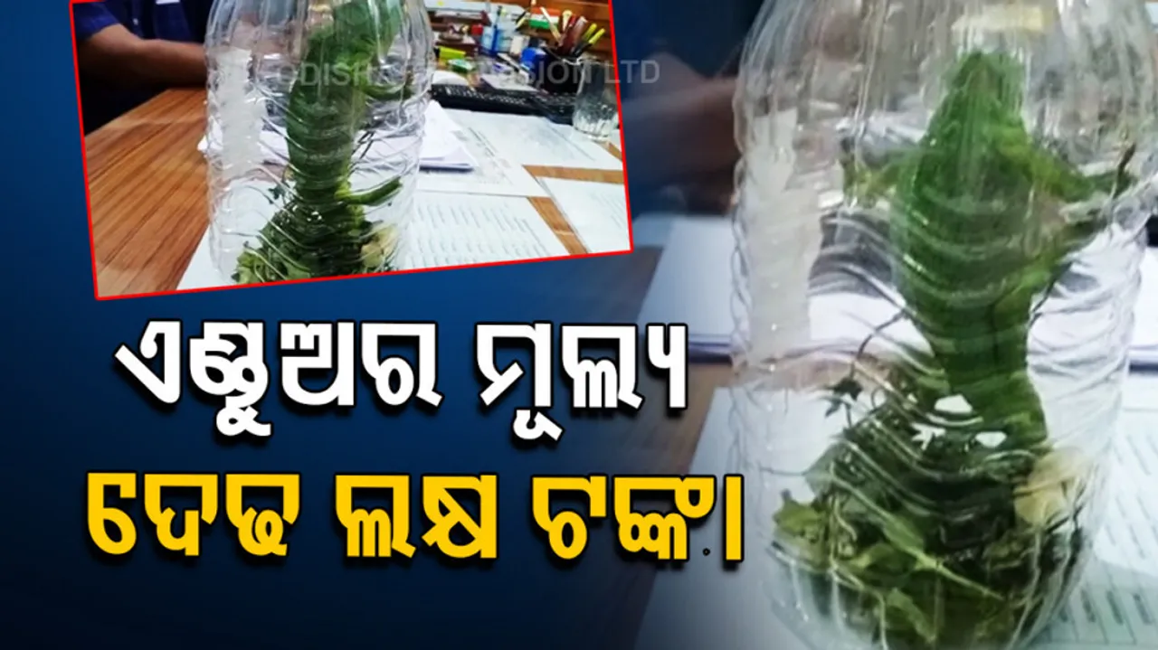 Chameleon trading racket busted in Bhubaneswar 