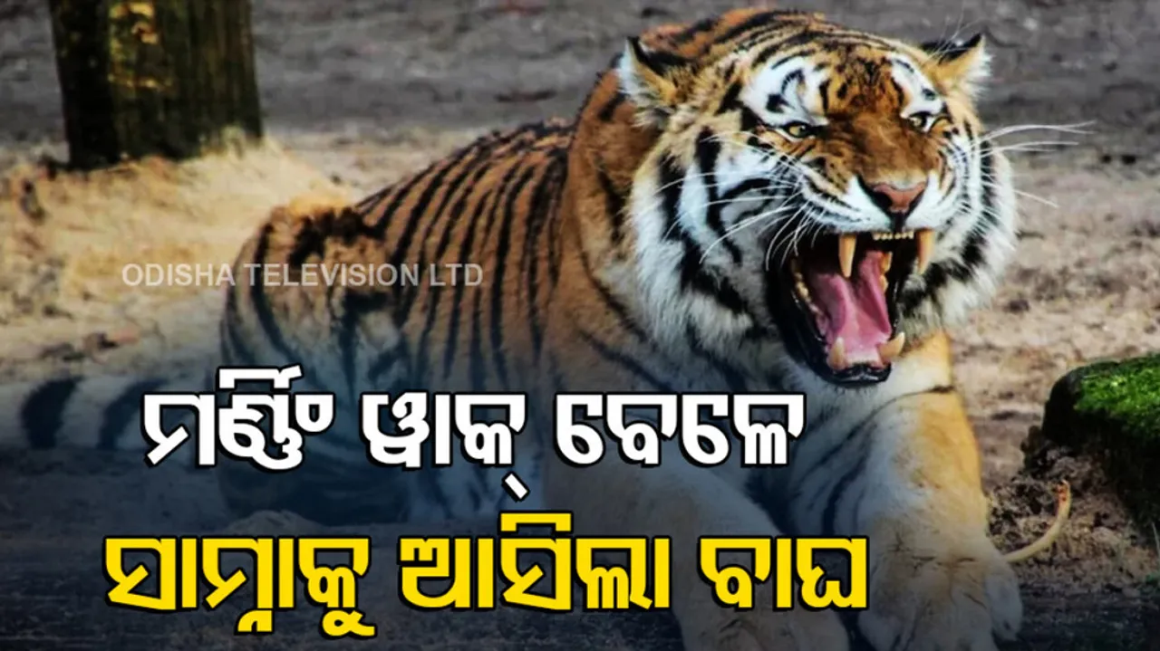 Maharashtra Youth Dies Of Heart Attack