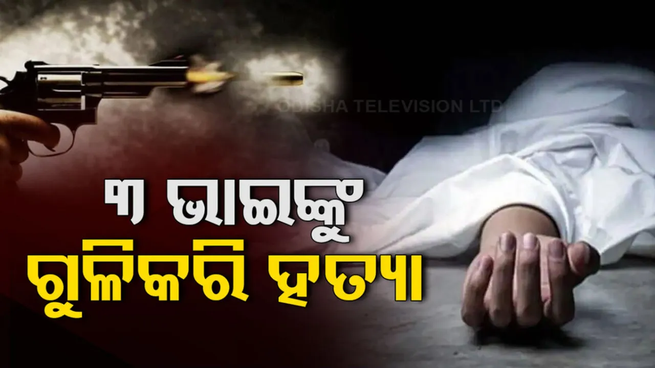 3 Brothers Shot Dead By Miscreants In Rajasthan