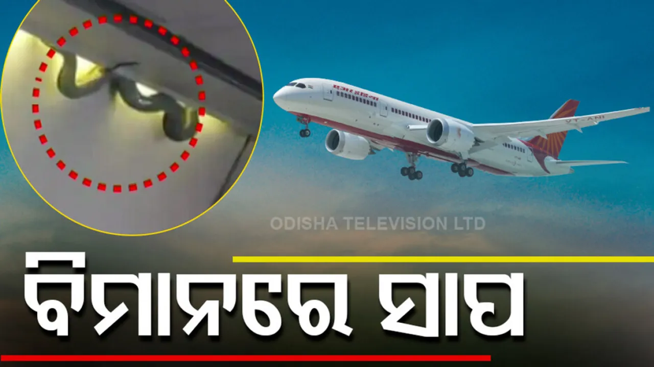 Snake found on Air India Express Flight