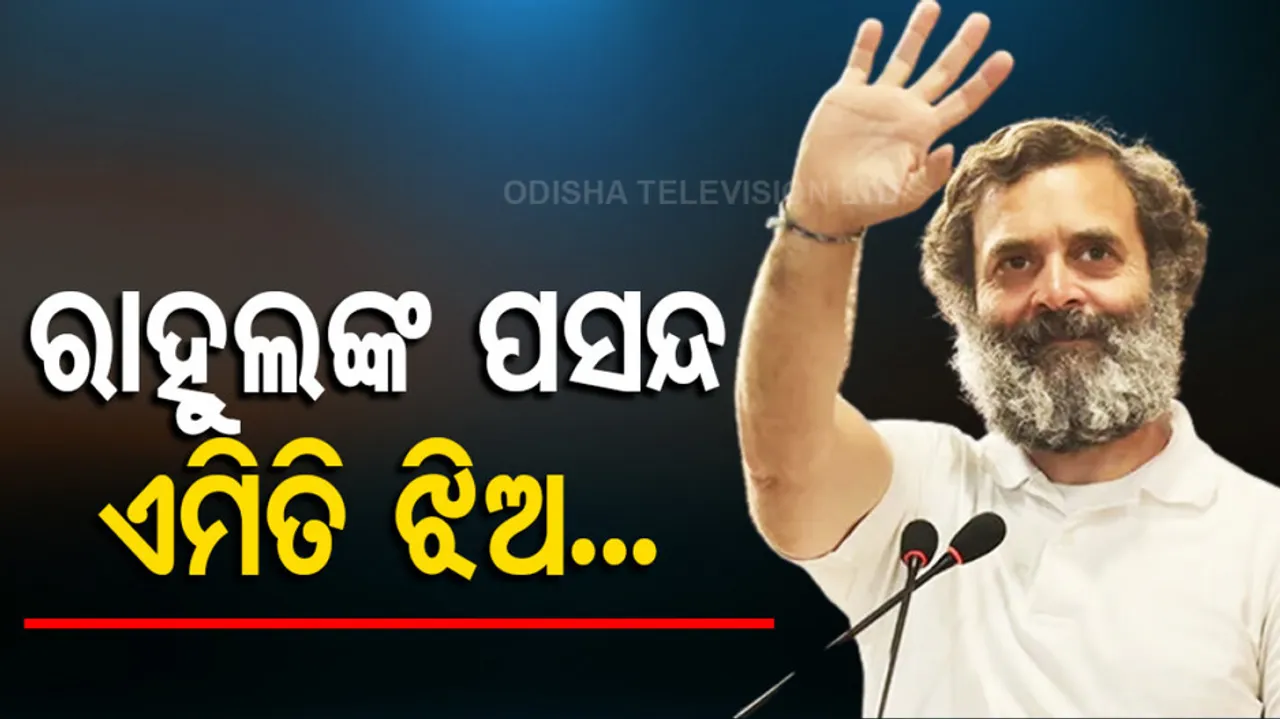 Rahul Gandhi Life Partner