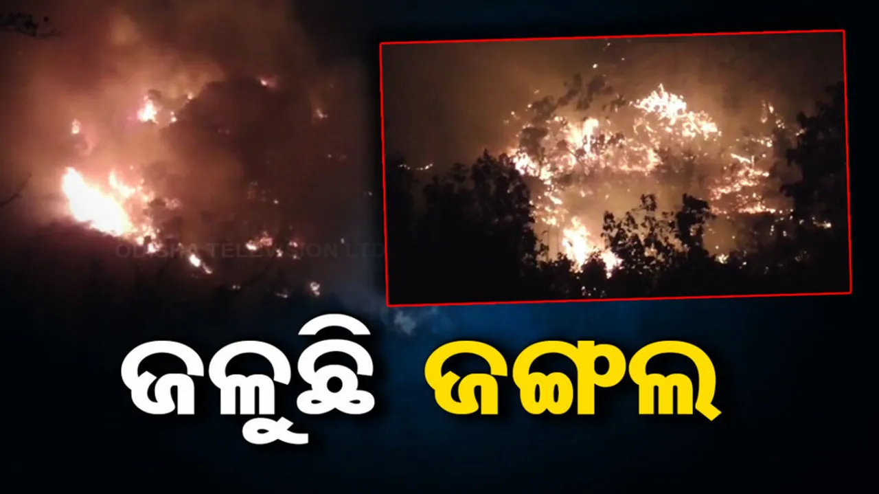 Fire In Forest In Various Places Across Odisha 
