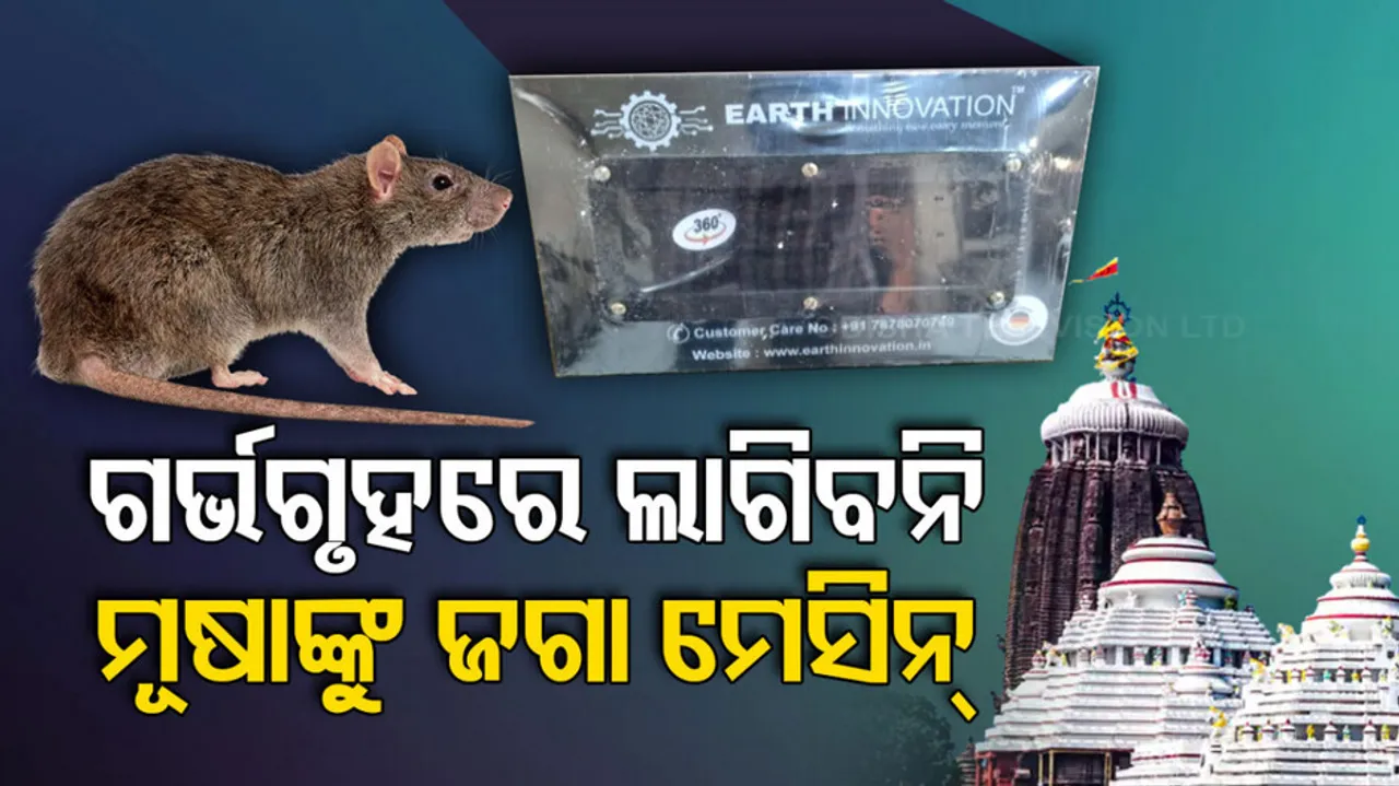 Threat To Idols At Puri Jagannath Temple Due To Rodent 