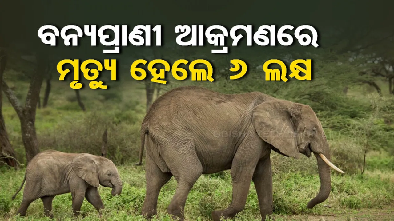 Odisha Govt Compension Plan