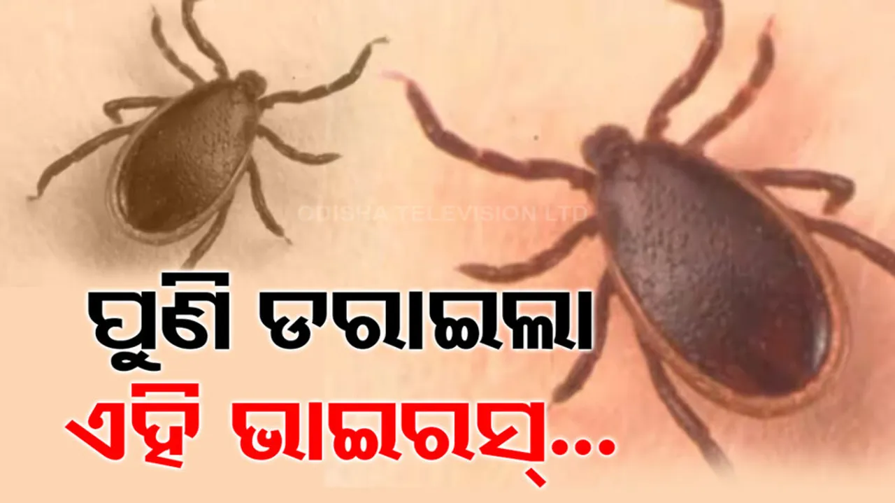 Powassan Virus Claims One Life In US