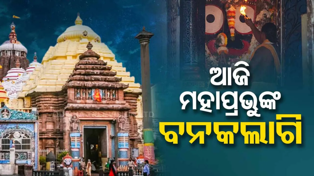 Banakalagi Niti Ritual Of Lord Jagannath