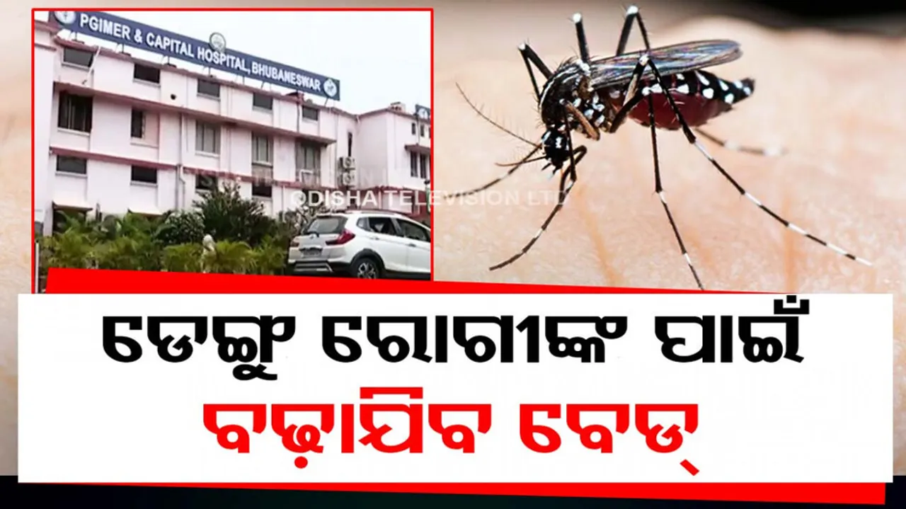 Dengue beds in Capital Hospital to be increased