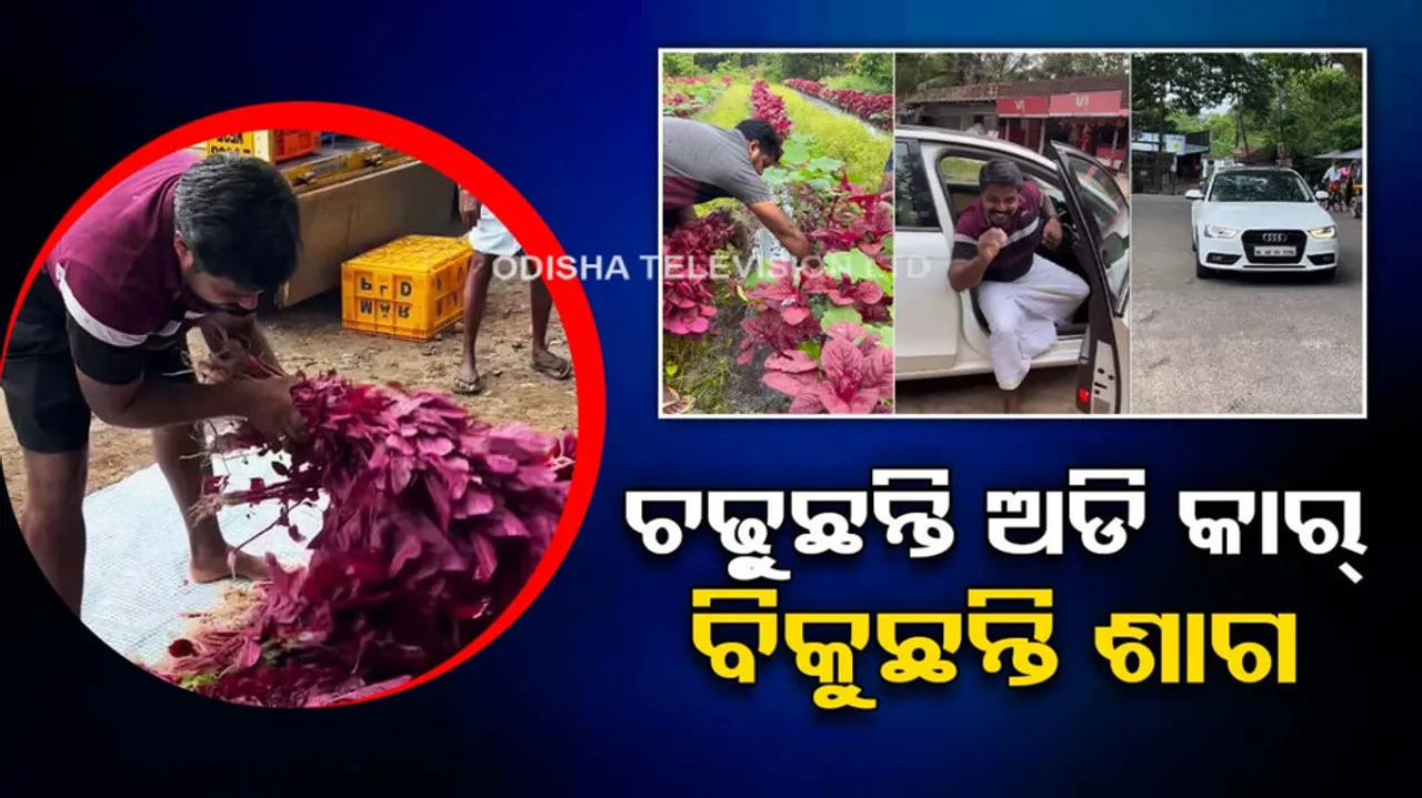 Farmer Takes An Audi To Sell Vegetables At Roadside Market 