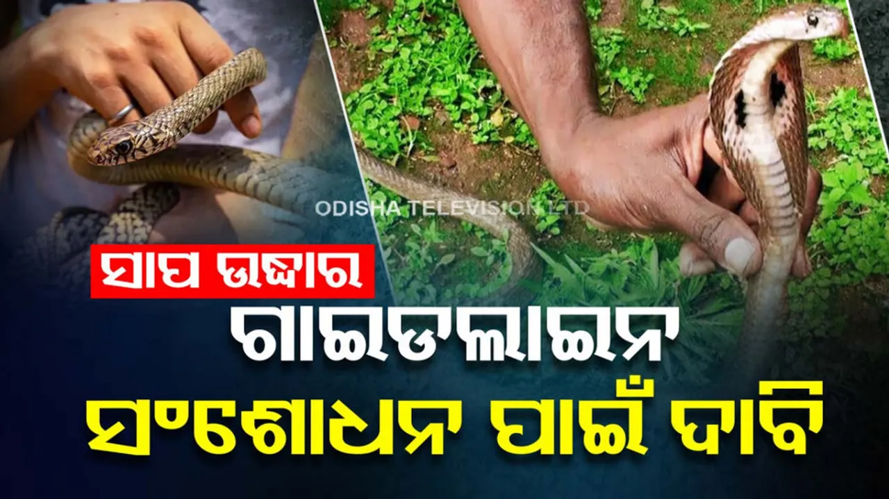 Demands for issue new Guidelines Rescue and Release of Snakes