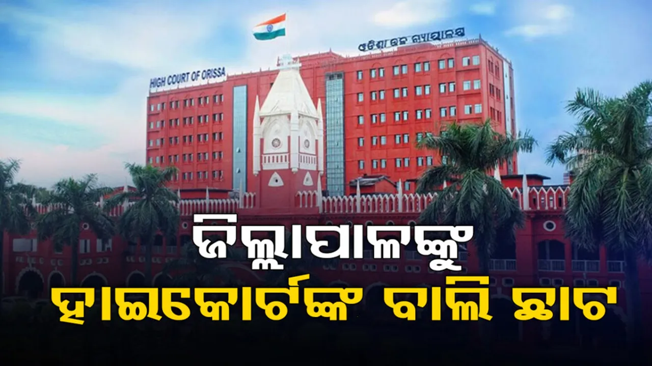 Orissa High Court 