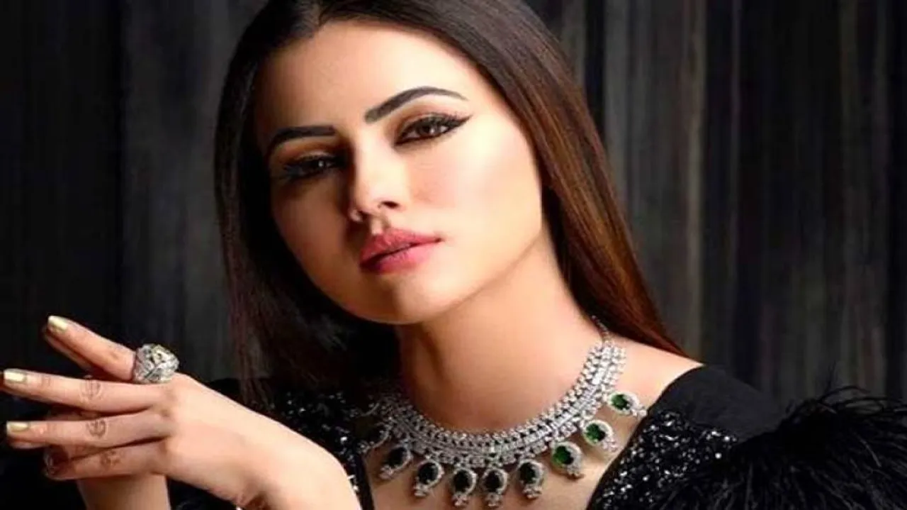 ବଲିଉଡ୍‌ରୁ ବିଦାୟ ନେଲେ ସନା