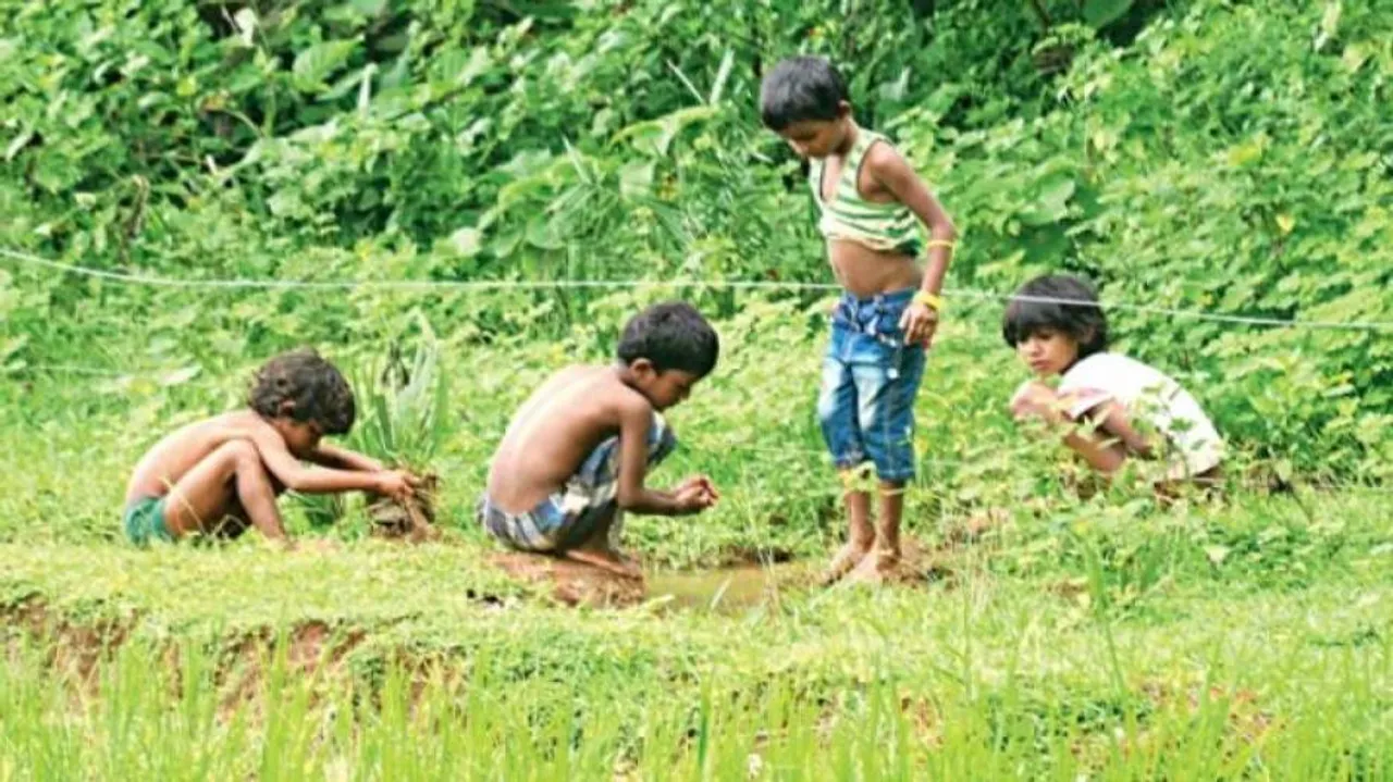 ହାତୀ ଭୟରେ ସ୍କୁଲ୍ ଛୁଟି ଘୋଷଣା କଲେ ଜିଲ୍ଲାପାଳ