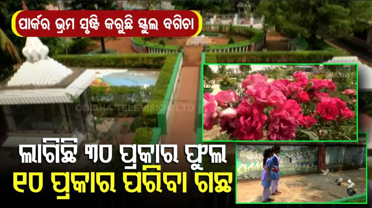 ପାର୍କର ଭ୍ରମ ସୃଷ୍ଟି କରୁଛି ସ୍କୁଲ୍‌ ବଗିଚା