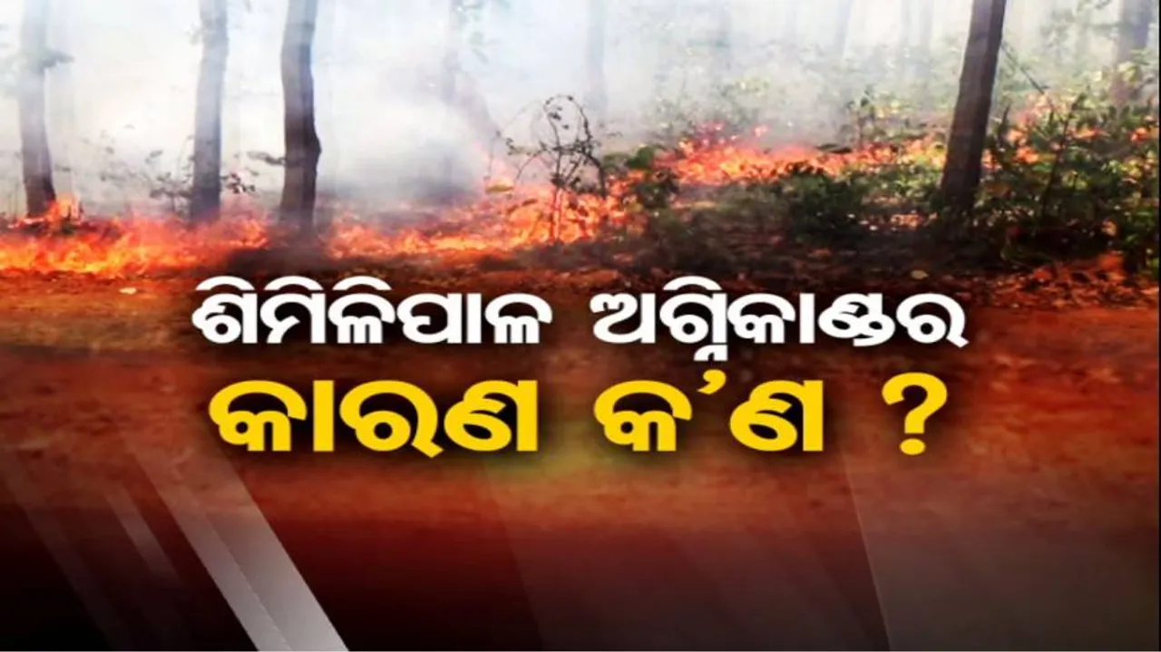 କାହିଁକି ନିଆଁର ଆଁ ଭିତରେ ଶିମିଳିପାଳ: ୧୫ ଦିନ ପରେ ବି ଉତ୍ତର ପାଉନି ବନ ବିଭାଗ