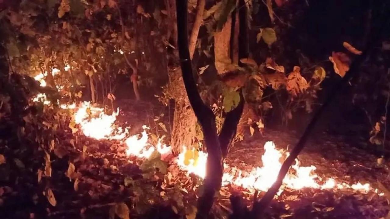 ଜଙ୍ଗଲ ନିଆଁ ଲିଭାଇବ ଓଡ୍ରାଫ୍, ବନ କର୍ମଚାରୀଙ୍କ ଛୁଟି ବାତିଲ