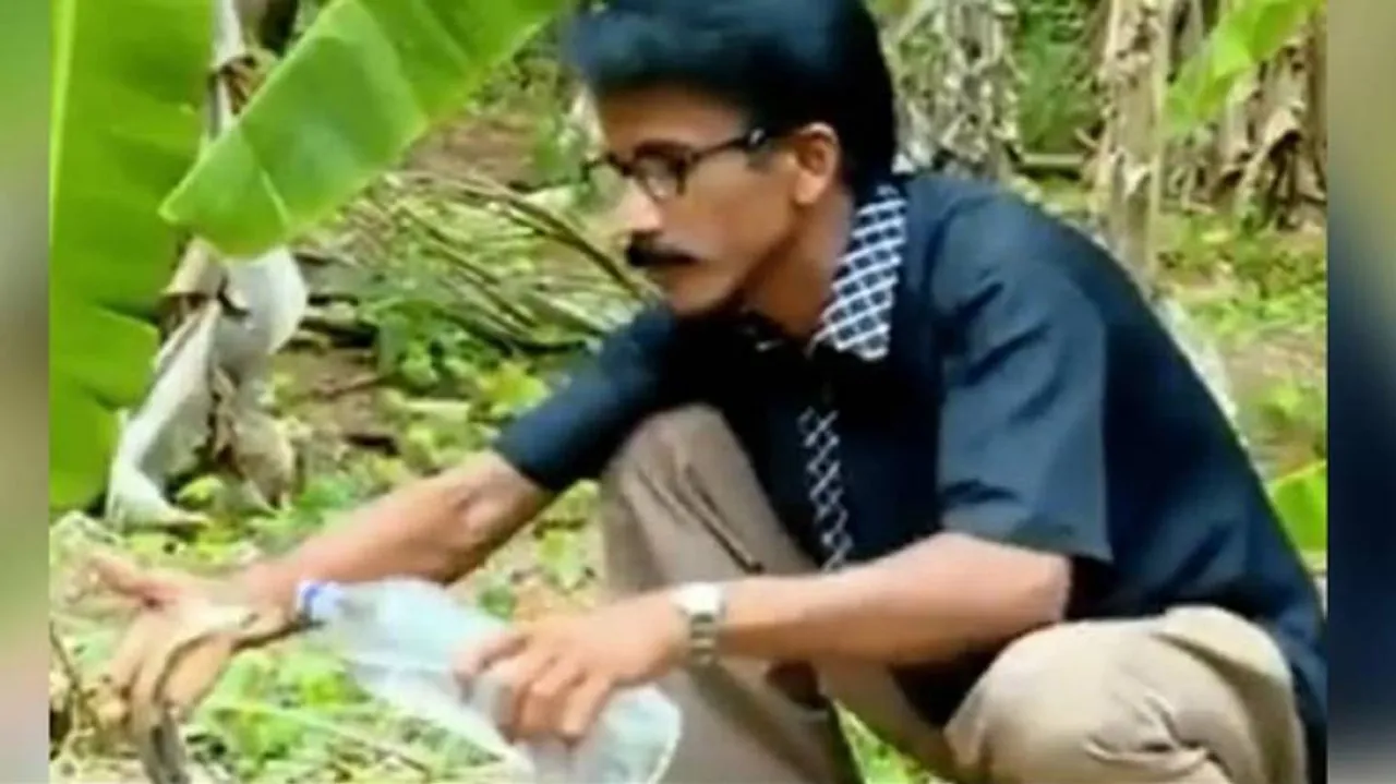 ଶୋଷିଲା ନାଗସାପକୁ ପାଣି ପିଆଇଲେ ବନ ଅଧିକାରୀ, ଦେଖନ୍ତୁ ଭିଡିଓ...