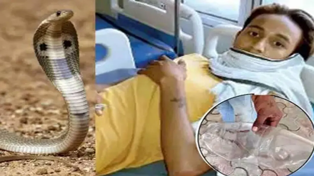 ଡାକ୍ତର ପଚାରିଲେ କେଉଁ ସାପ କାମୁଡିଛି, ରୋଗୀଙ୍କ ଉତ୍ତର ଶୁଣି ଡାକ୍ତରଙ୍କ ହୋଶ ଉଡ଼ିଗଲା