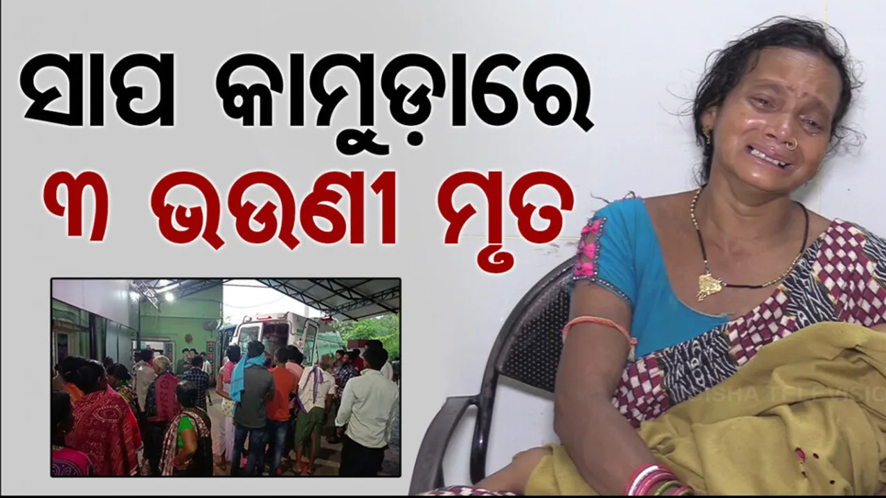 Three Sisters Die Of Snake Bite In Odisha