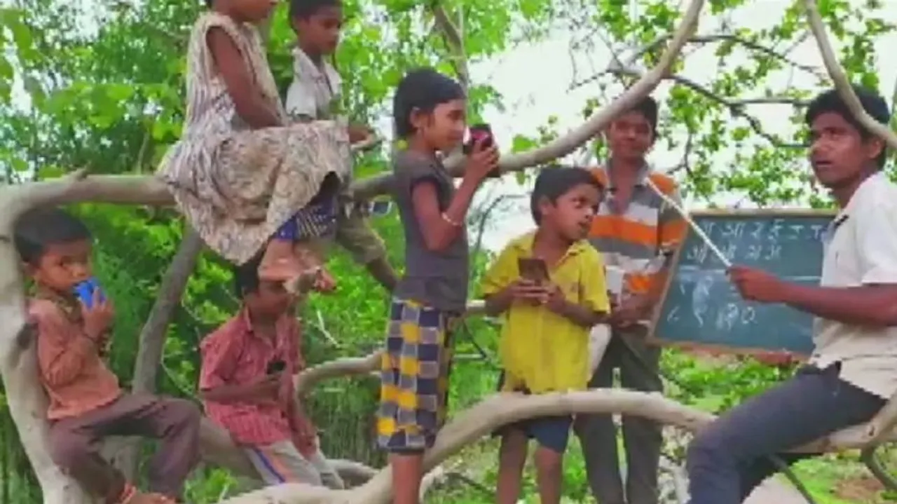 ଗଛ ଉପରେ ଗଢ଼ା ହେଉଛି ଆସନ୍ତାକାଲିର ଭବିଷ୍ୟତ!