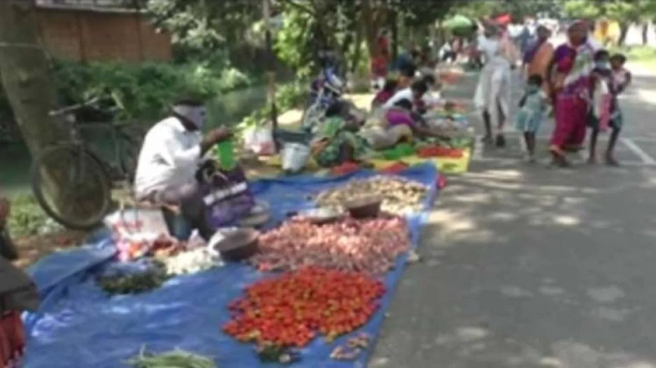 ଦିନେ ମାବଦାଦୀଙ୍କ ପାଇଁ ଲାଲ୍‌ଗଡ଼ ଥିଲା, ଏବେ ସାଜିଛି ଲାଲ୍‌ ଟମାଟୋର ଗଡ଼