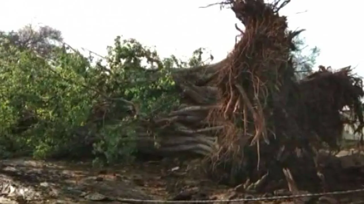 ‍‍‘ଫୋନି’ ପରେ ଅଣ୍ଟା ସଳଖି ଠିଆ ହେବାକୁ ଚେଷ୍ଟା କରୁଛି ଉପକୂଳ ଓଡ଼ିଶା