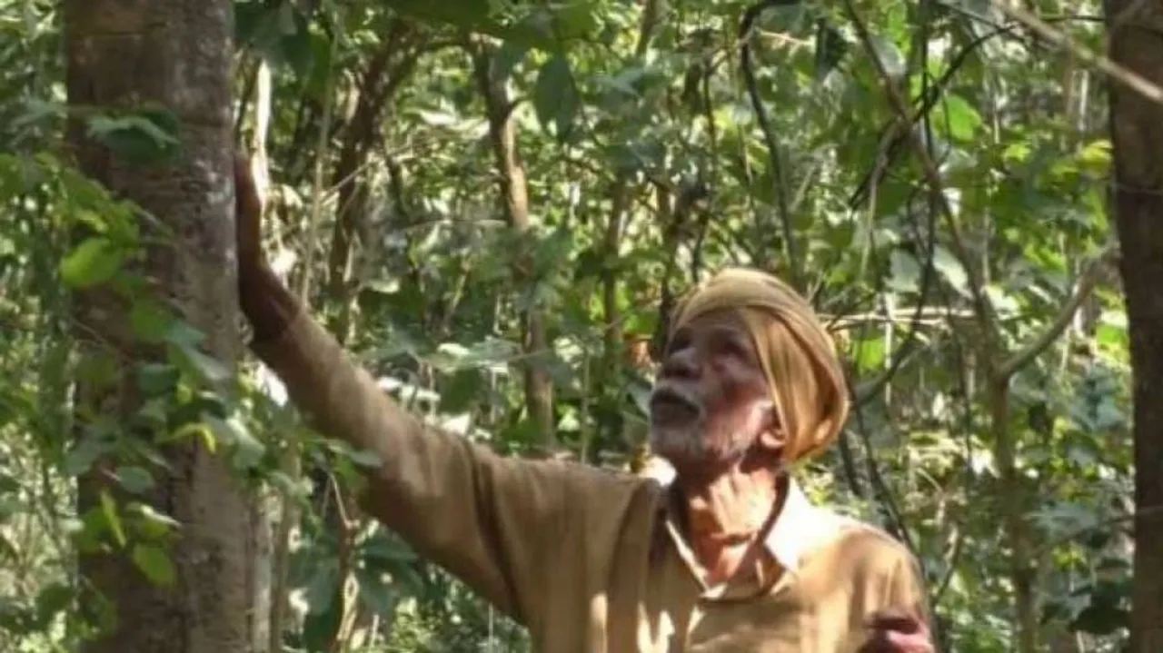 ନିଆରା ପ୍ରେମିକ : ପତ୍ନୀଙ୍କ ସ୍ମୃତିରେ ନିଜ ଅଞ୍ଚଳକୁ କଲେ ସବୁଜ ସୁନ୍ଦର