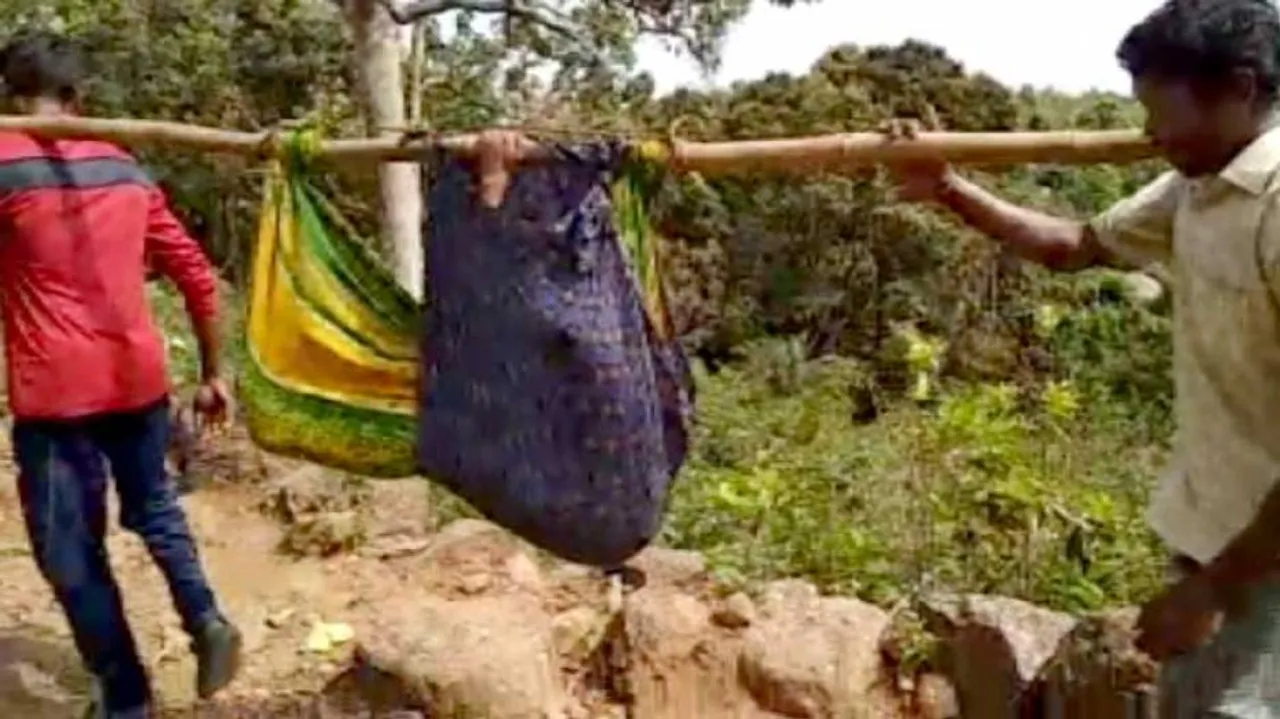 ଗାଁକୁ ରାସ୍ତା ନଥିବାରୁ ଭାରରେ ବୁହା ହେଲେ ଗର୍ଭବତୀ