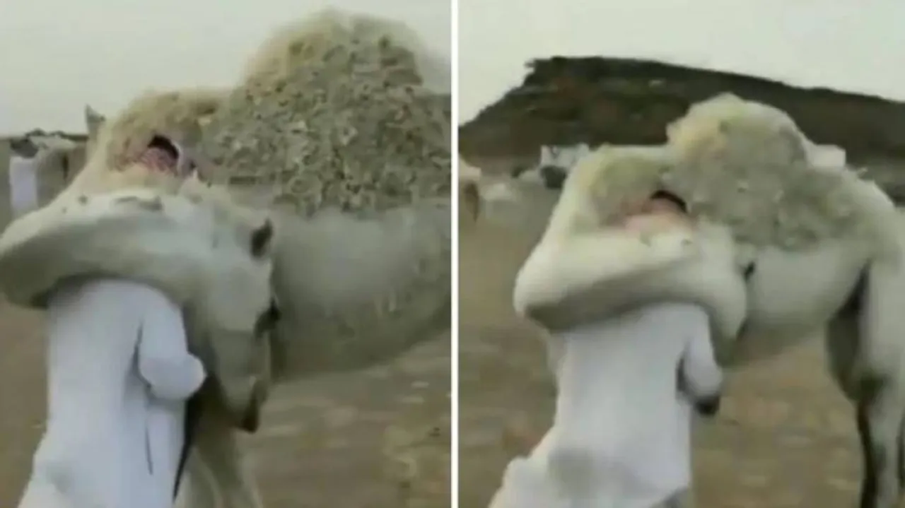 ପଶୁ ହେଲେ ବି ହୃଦୟ ଅଛି ... ଭିଡ଼ିଓ ଭାଇରାଲ