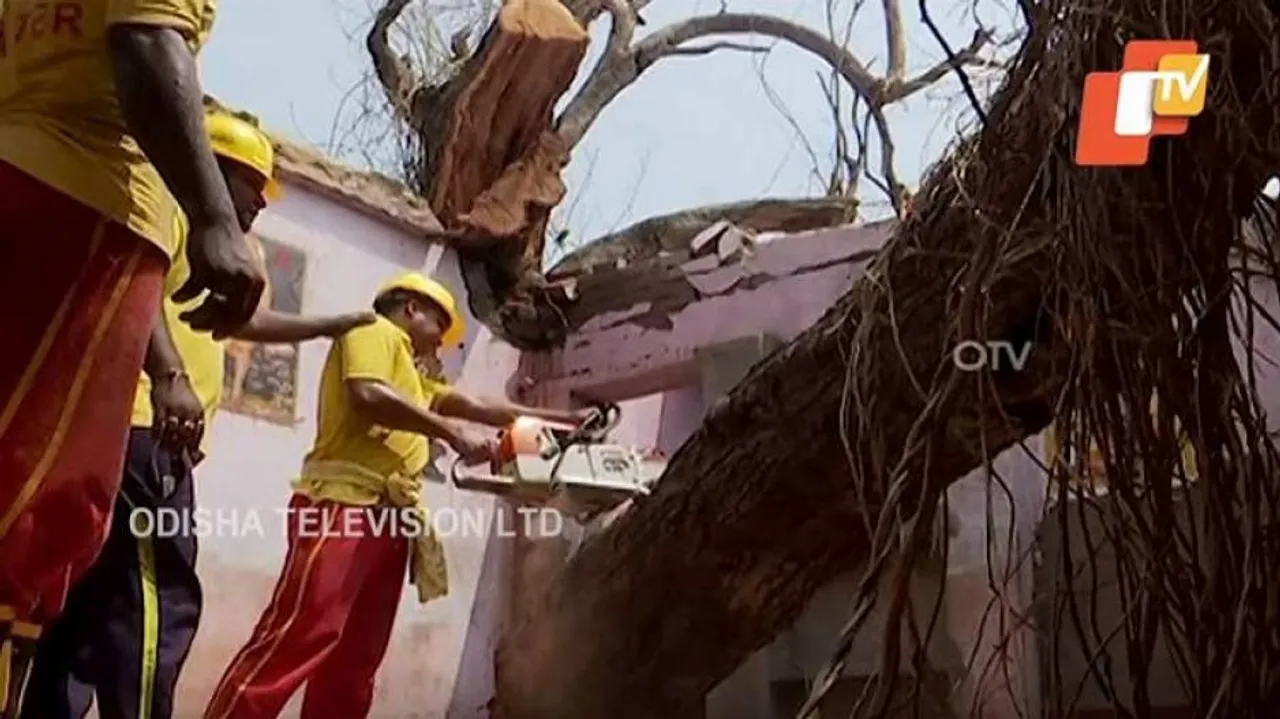 ଘର ଉପରେ ପଡ଼ି ରହିଛି ବିରାଟକାୟ ଗଛ