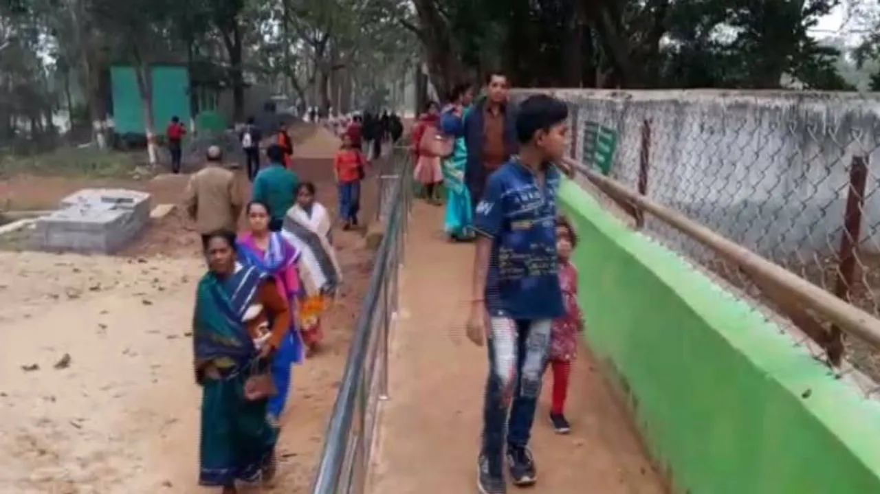 କପିଳାସ ଚିଡ଼ିଆଖାନାରେ ରଖାଯିବ ବାଘ