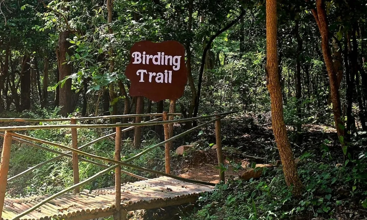 Birding trail at Debrigarh wildlife sanctuary
