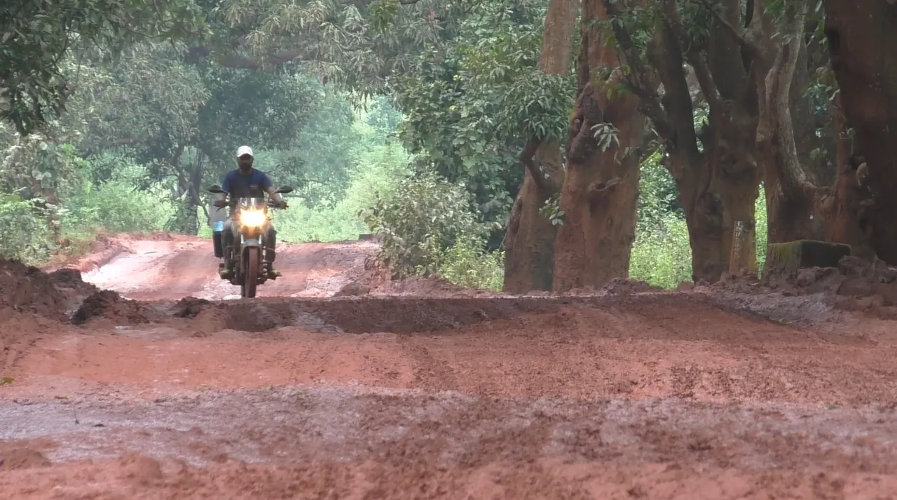 Over ‘10,000 potholes’ disrupt 10-km road in Odisha’s Koida, villages cut off after heavy rains