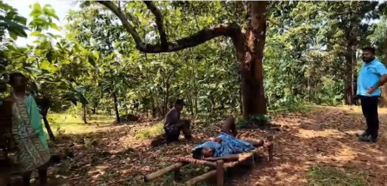 Patient carried on cot for 5km as ambulance fails to reach village in Malkangiri