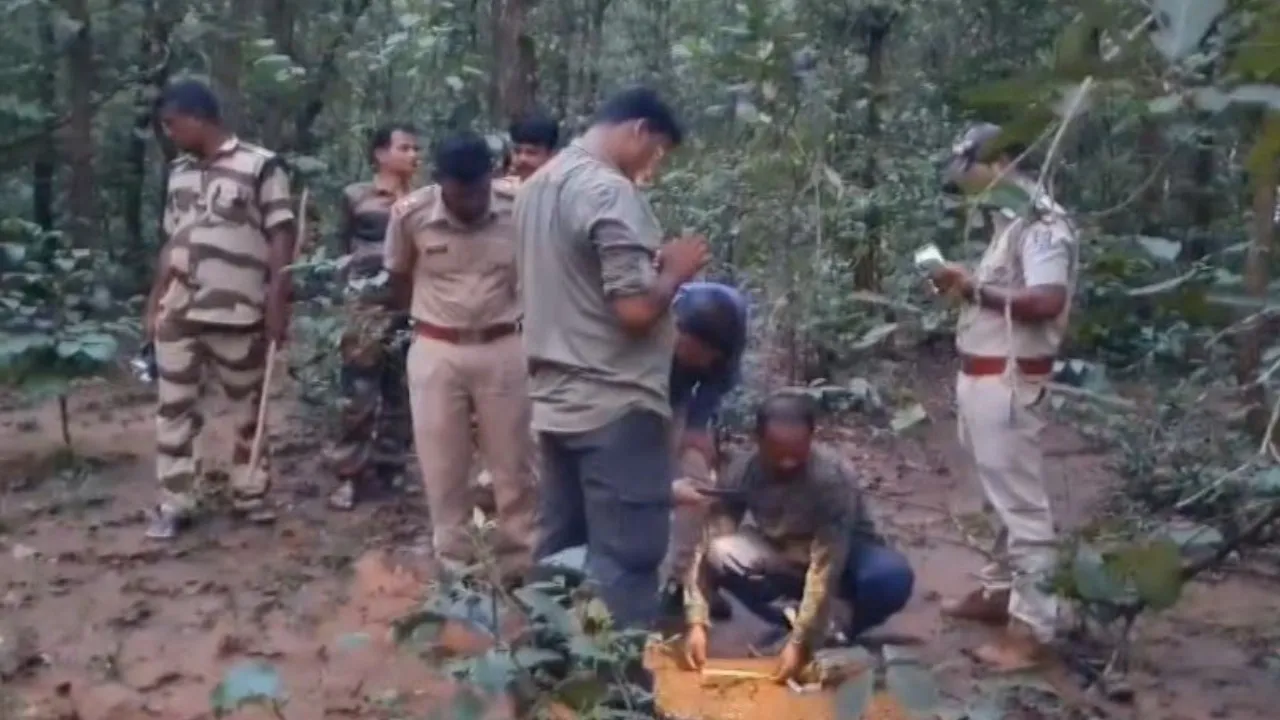 Panic grips Odisha’s Kamakhyanagar as locals claim tiger sighting
